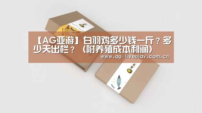 【AG亚游】白羽鸡多少钱一斤?多少天出栏?(附养殖成本利润)(图1) AG亚游帮助中心