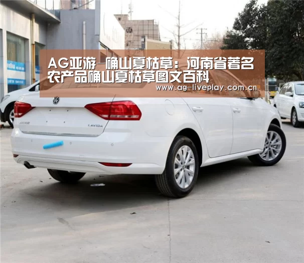 AG亚游-确山夏枯草:河南省著名农产品确山夏枯草图文百科(图1) AG亚游常见问题
