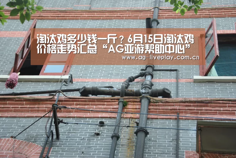 淘汰鸡多少钱一斤?6月15日淘汰鸡价格走势汇总“AG亚游帮助中心”(图3) AG亚游注册登录